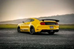 Steeda SSV – Q850 Streetfighter Mustang 5.0 GT V8 Supercharged